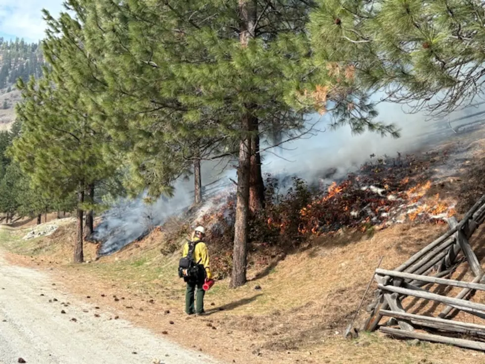 Prescribed Burning Begins On Okanogan-Wenatchee National Forest