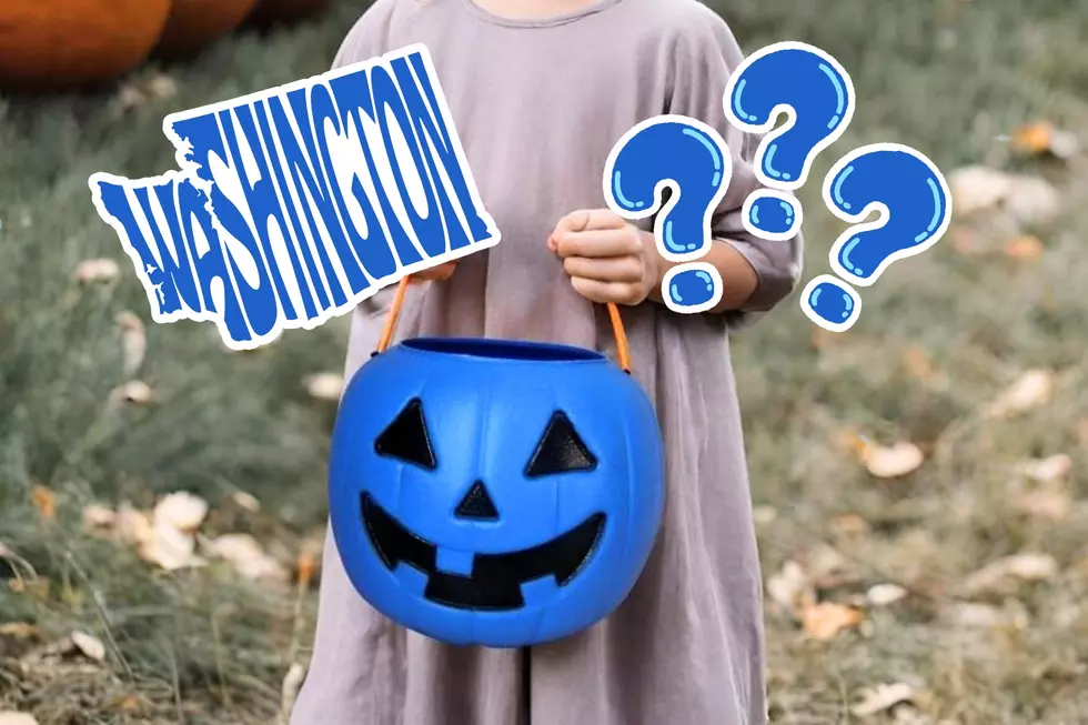 What You Need to Know About Blue Pumpkins in Washington